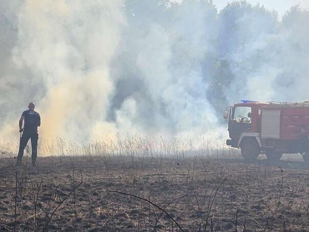Požar kod Gruda pod kontrolom: Izgorjelo 16 hektara šume, trave i niskog rastinja