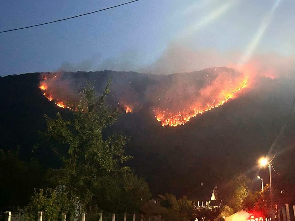 Požar kod Kalesije: Vatrogascima gašenje otežava nepristupačan teren, vatra i dalje bukti