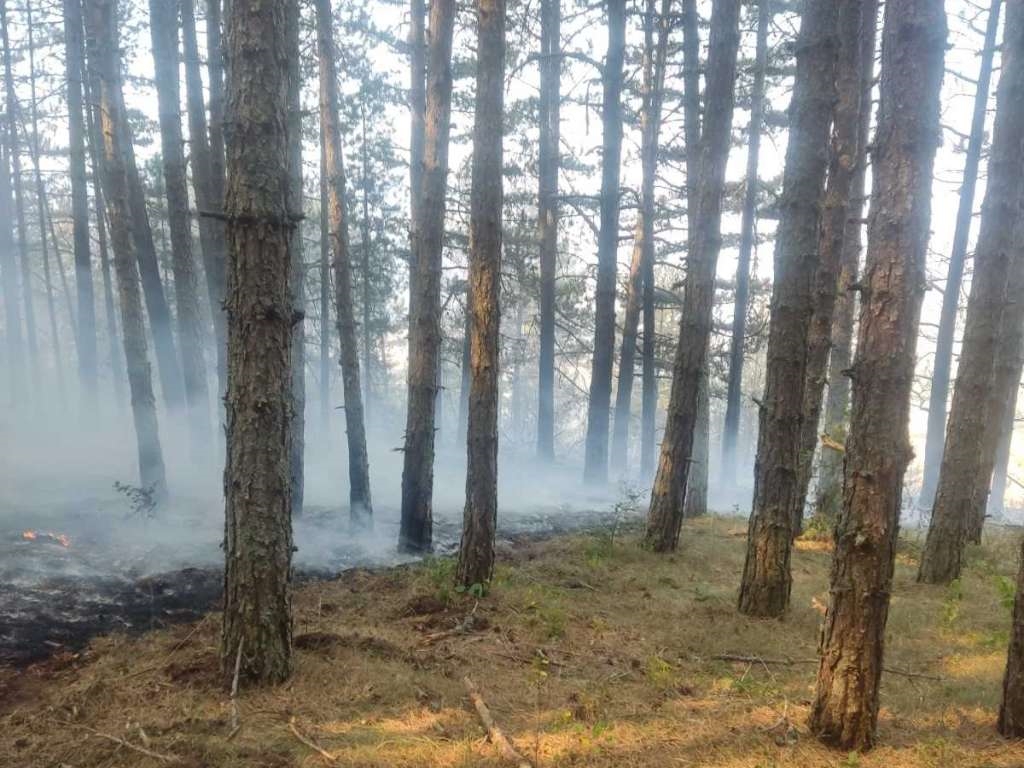 Požar na Čvrsnici i dalje aktivan, vatrogasci angažovani na gašenju