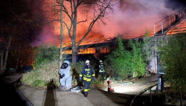 Požar u zoo-vrtu u Njemačkoj, poginule mnoge životinje