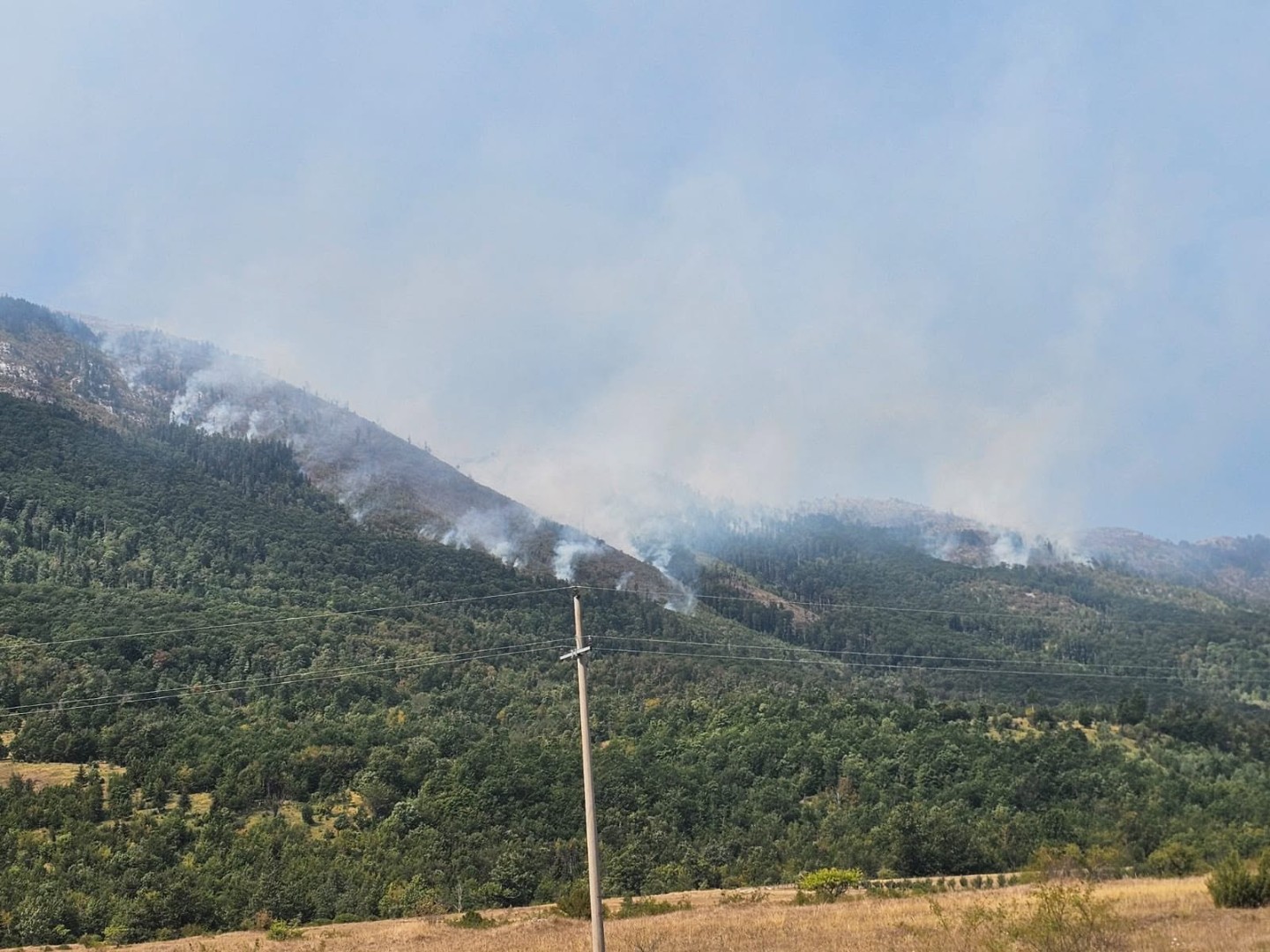 Požari bukte širom Hercegovine: Vatrogasci imaju pune ruke posla