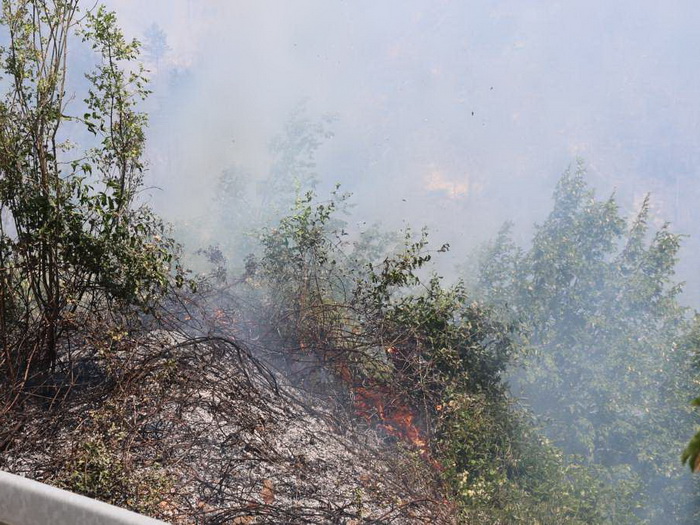 Požari kod Konjica i Neuma i dalje aktivni, kuće nisu ugrožene