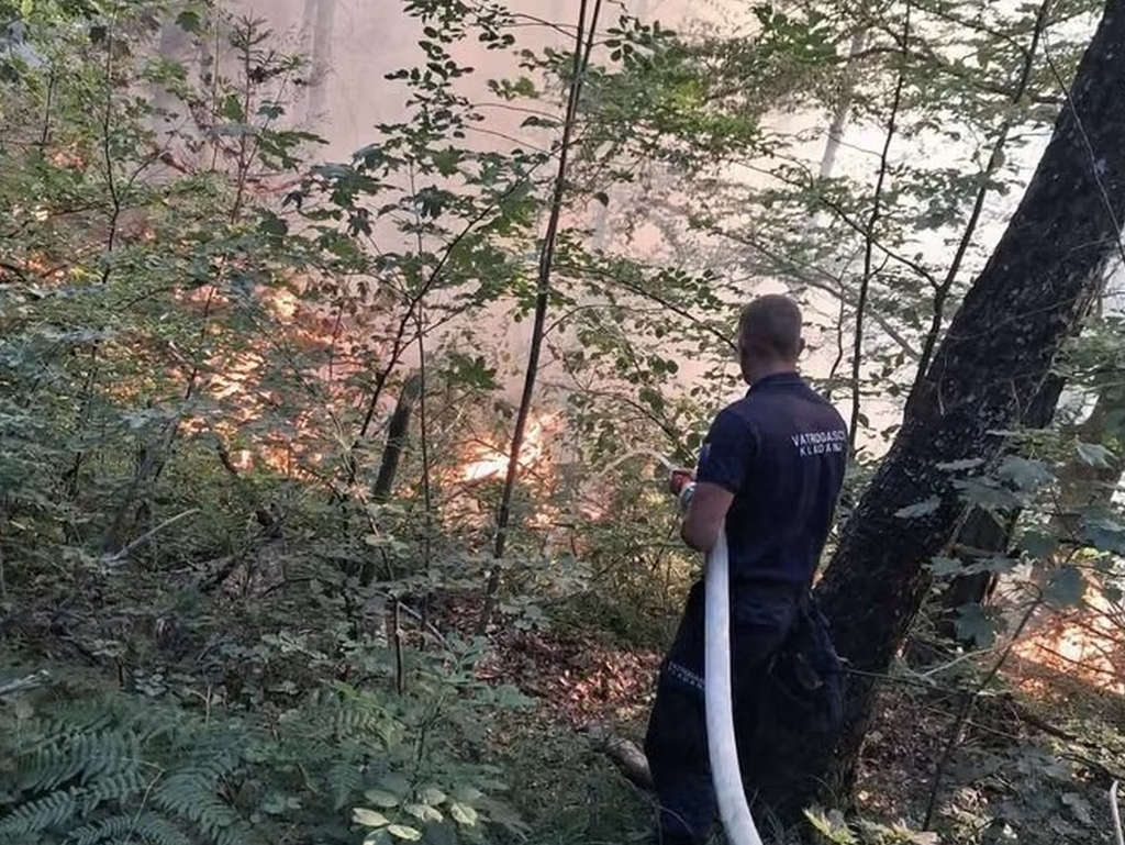 Požari ponovo aktivni na području Kladnja, intervencije u još tri grada