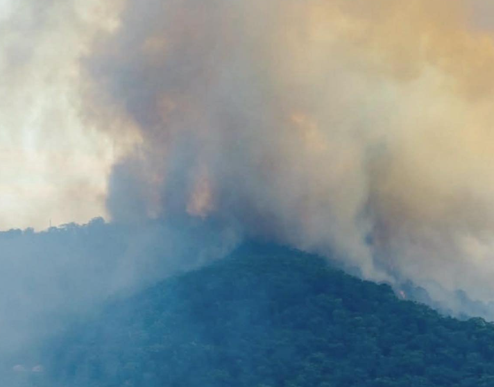 Požari u Australiji: Uništeno najmanje 40 kuća, poginuo vatrogasac