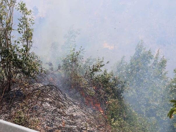 Požari u Crnoj Gori ne miruju, vatrogascima pomaže i vojska