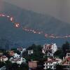 Požari u Grčkoj: Vatra stigla na 50 kilometara od Atine
