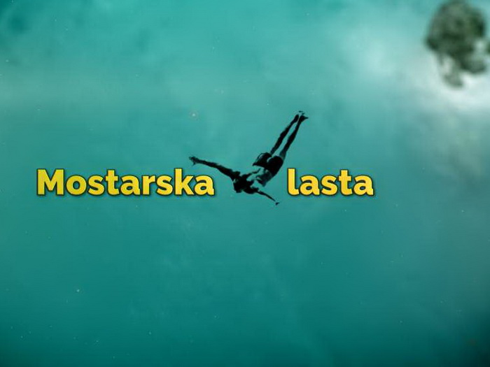 Premijera dokumentarnog filma "Mostarska lasta", 26. februara u programu Federalne televizije