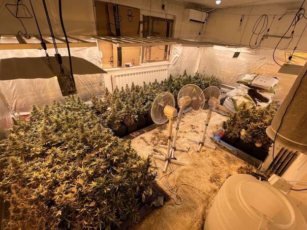 Policija u Sarajevu pronašla dvije laboratorije marihuane