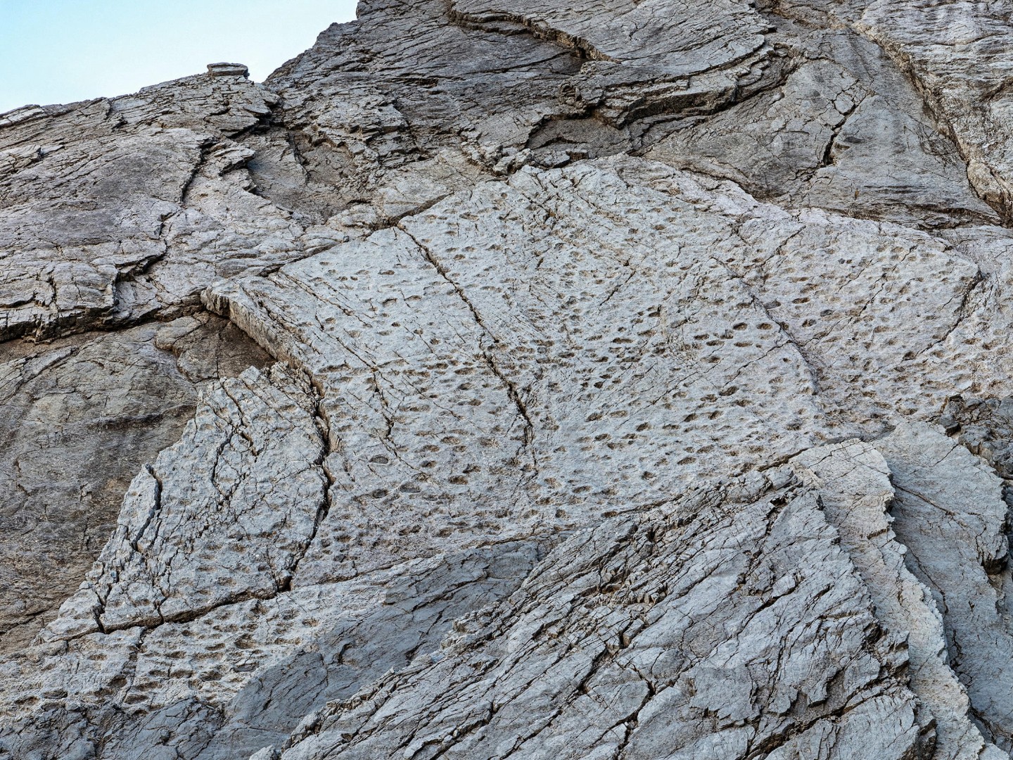 Pronađeno hiljade otisaka dinosaurusa na sjeveru Italije