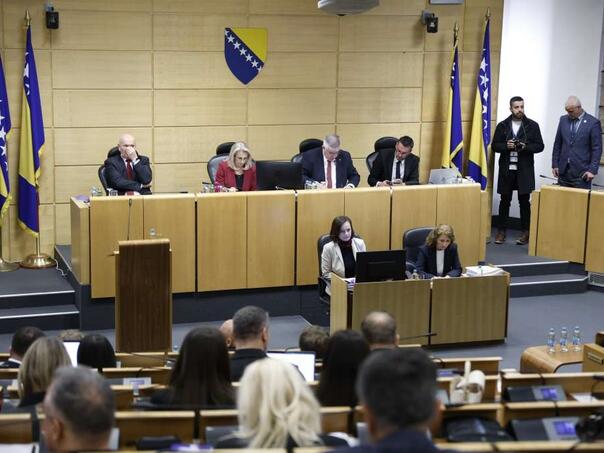 Reforma finansijskog sistema pred zastupnicima Federalnog parlamenta