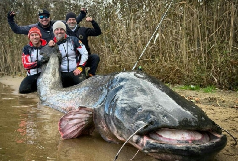 Ribari oborili svjetski rekord: Upecano "čudovište" od skoro tri metra