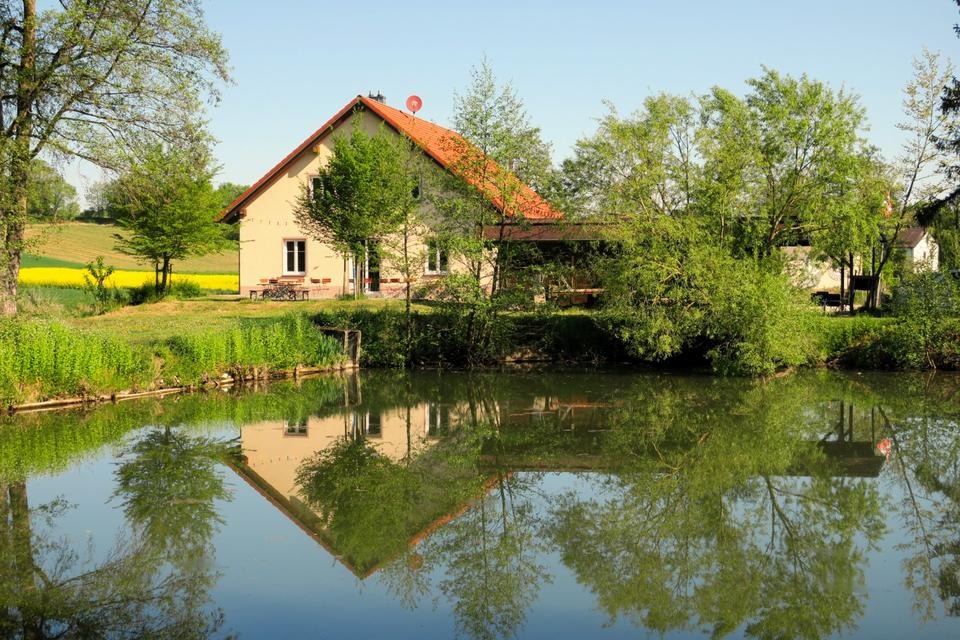 Rijetka, ali smrtonosna bolest: Borna virus širi se preko životinja u Njemačkoj