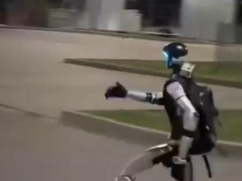 Robot lovio krdo divljih svinja usred Varšave