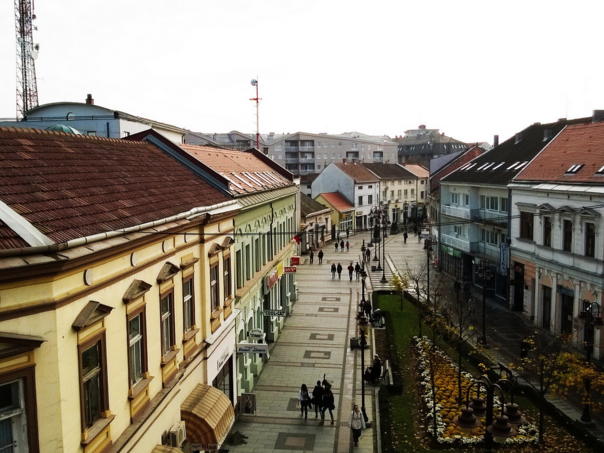 Sanitarna kontrola u Brčkom: Uništeno 130 tona krompira i hiljade litara pića