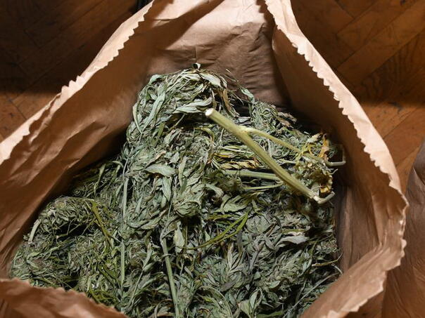 Sarajevo: U akciji "Kolibri" pronađena mini laboratorija za uzgoj marihuane