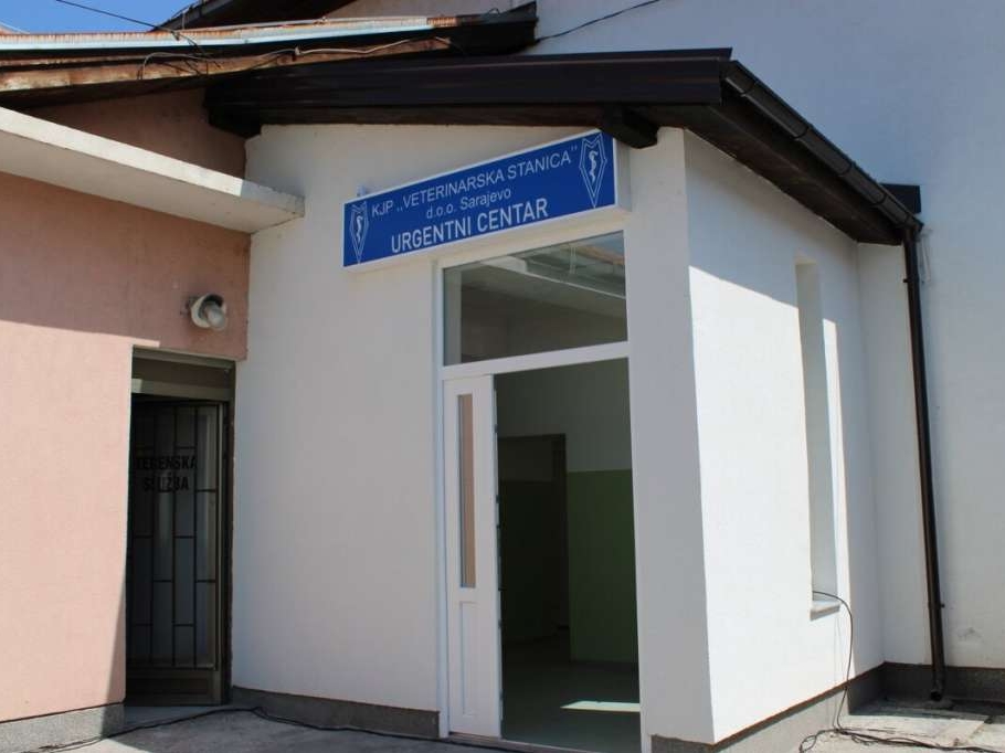 Sarajevo: Urgentni centar za životinje povećao broj intervencija za 300 posto