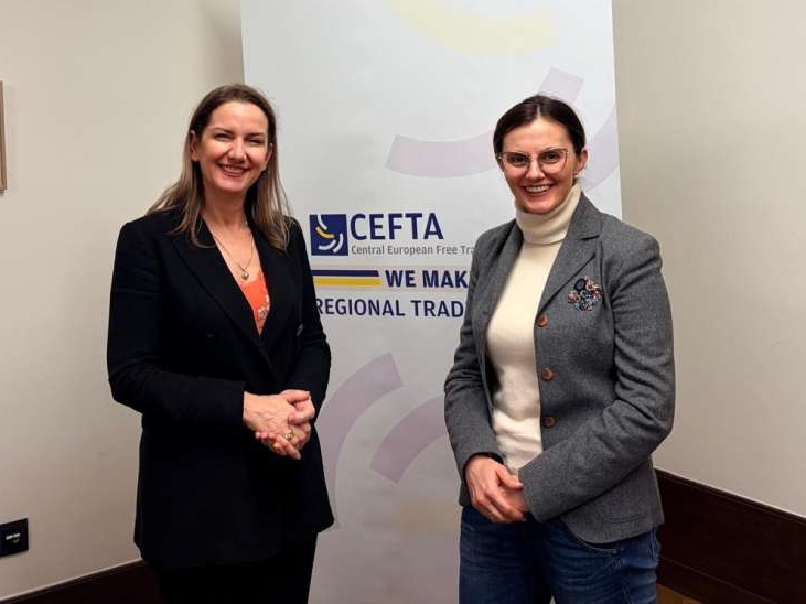 Sastanak u Briselu: Industrija čelika je od strateškog značaja za BiH