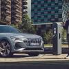 Schwarz grupa okrenula leđa električnim automobilima: Vraćaju se benzincima i dizelašima