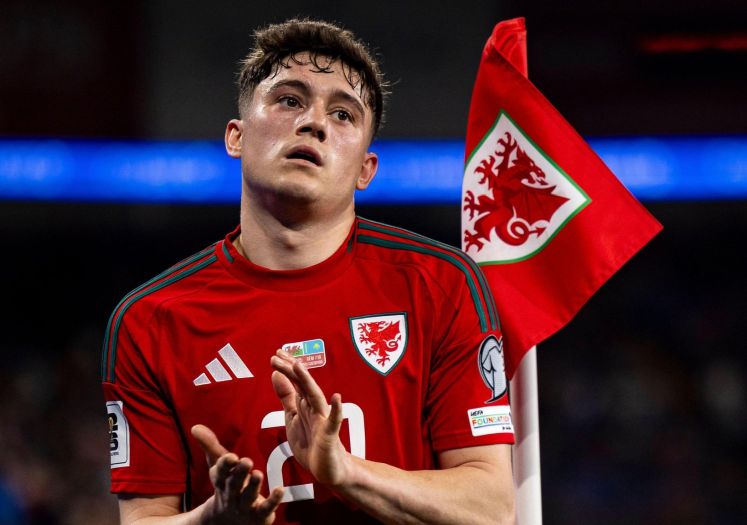 Selektor Velsa objavio spisak igrača za BiH