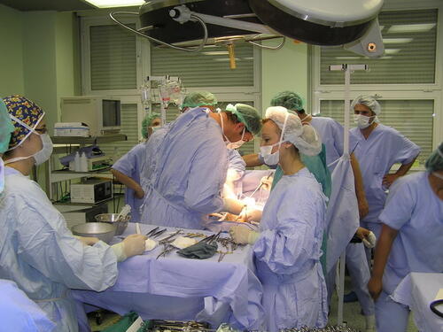 Šest transplantacija za sedam dana u Federaciji BiH