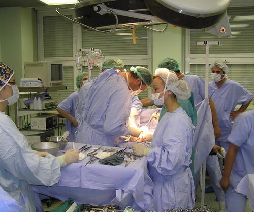 Šest transplantacija za sedam dana u Federaciji BiH