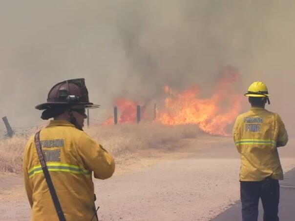 Sezona požara 2025. najgora u historiji EU, izgorjelo više od milion hektara