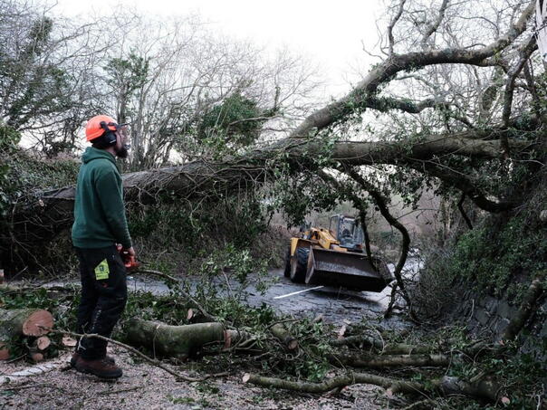 Sjeverna Francuska bez električne energije nakon oluje Goretti