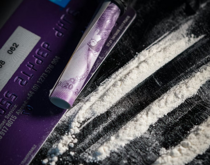 Slovenska policija zaplijenila više od 30 kilograma kokaina