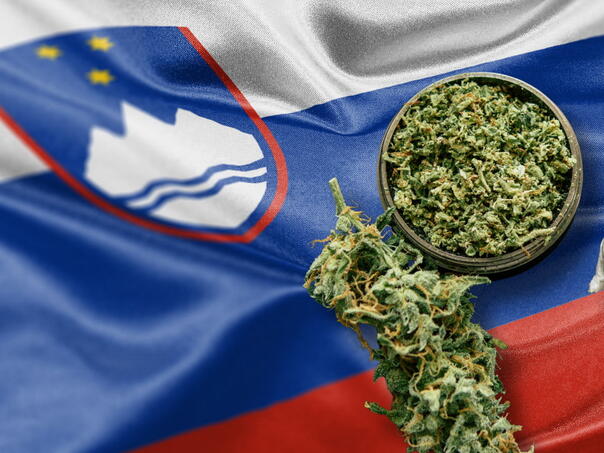 Slovenija planira odobriti upotrebu marihuane u psihijatrijskim bolnicama