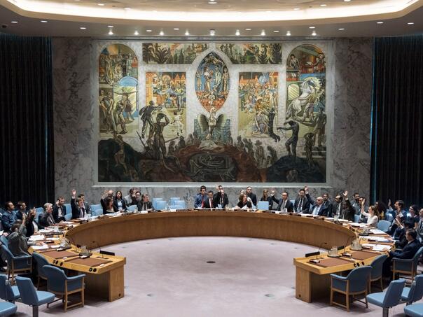 Slovenija predsjedava Vijećem sigurnosti UN-a