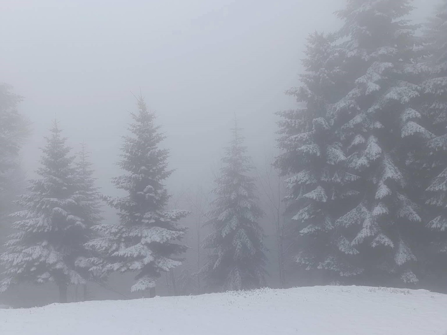 Snijeg na pragu maja: Planine u BiH ponovo zabijelile, stiže nam mraz