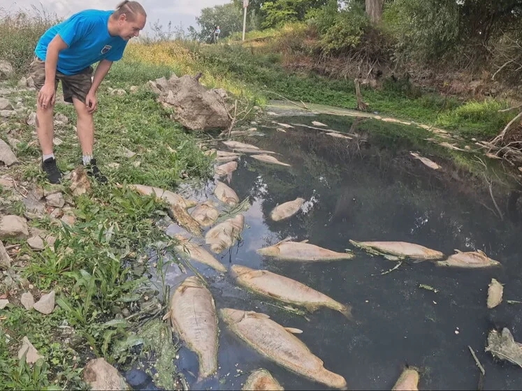 Šok kod Iloka: Stotine riba uginule, prizor zgrozio ribare
