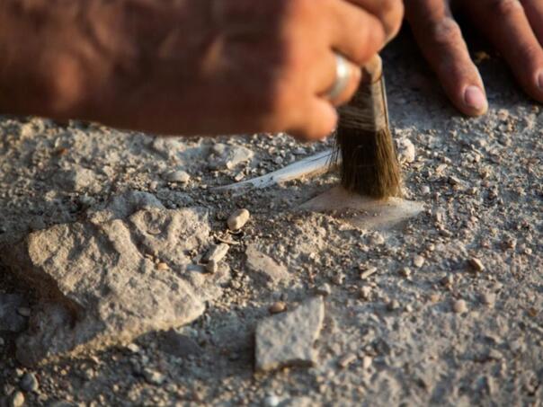 Šokantno otkriće: Da li su ljudi iz kamenog doba imali vlastiti sistem zapisa?