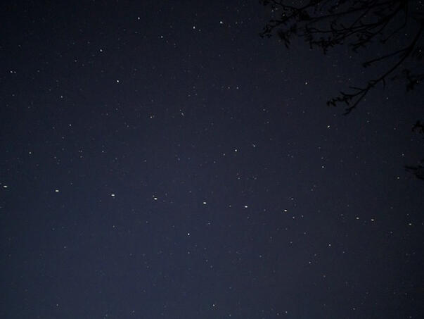 SpaceX planira milion novih satelita, astronomi zabrinuti