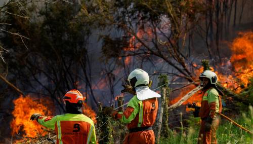 Španska regija Asturija razorena požarima, vlasti krive 'vatrene teroriste'