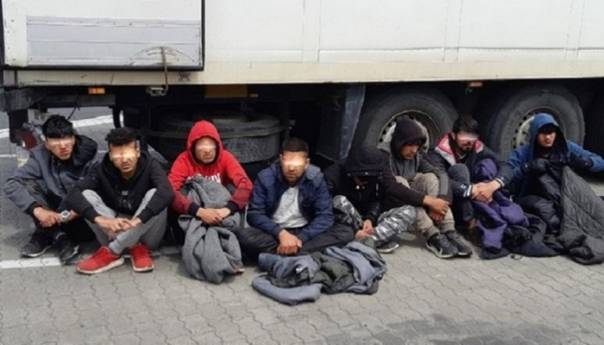 Srbija: Migranti otkriveni u tovaru kupusa