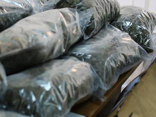 Srbija u 2025. godini zaplijenila više od šest tona droge