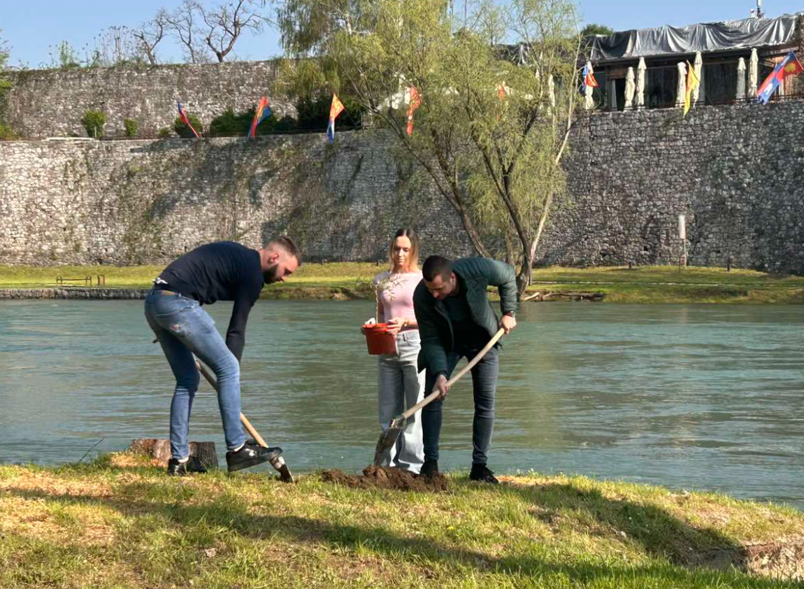 Ko Vrbasu reže vrbe: Mladi zasadili nova stabla nakon sječe starih
