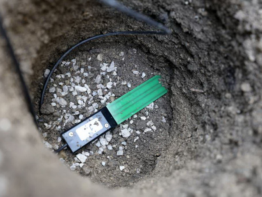 Stabla koja sama kažu kada su žedna: Beč testira nove pametne senzore