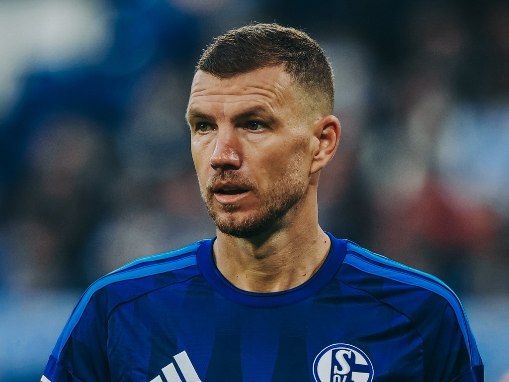 Stigle nove informacije o povredi Edina Džeke, Schalke se oglasio