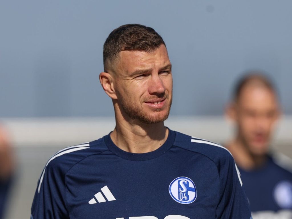 Stigle pozitivne vijesti o Džeki koje će obradovati navijače BiH