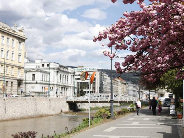 Stiglo nam je proljeće, najljepše godišnje doba i "eliksir raspoloženja"