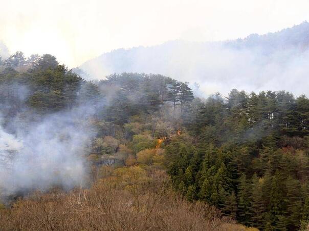 Stotine vatrogasaca bore se s požarima u japanskim šumama