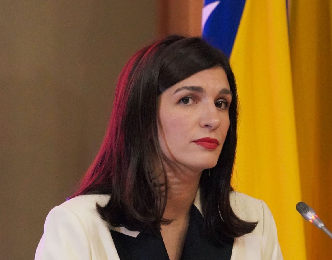 Stručnjaci iz dijaspore u oktobru na listama Naše stranke