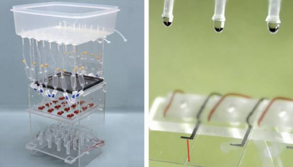 Struju ćemo u bliskoj budućnosti dobijati direktno iz kišnih kapi