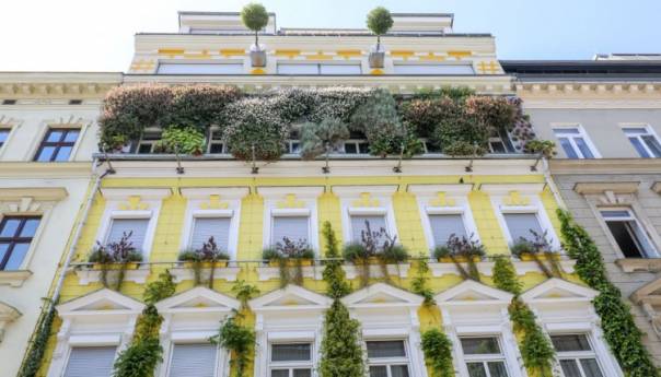 Subvencije za zelene krovove do 20.200 eura