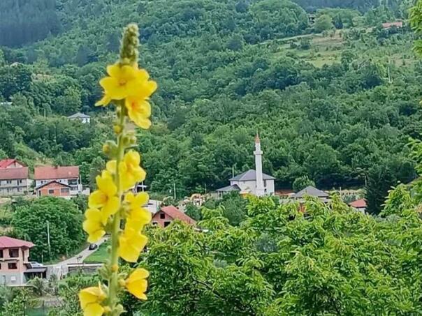 Sud presudio: Kleveta tvrdnje Trlina da je džamija u Donjem Selu protupravno izgrađena na njegovom zemljištu