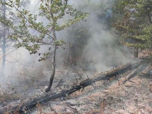 Šumski požar na lokalitetu Garački potok i dalje aktivan