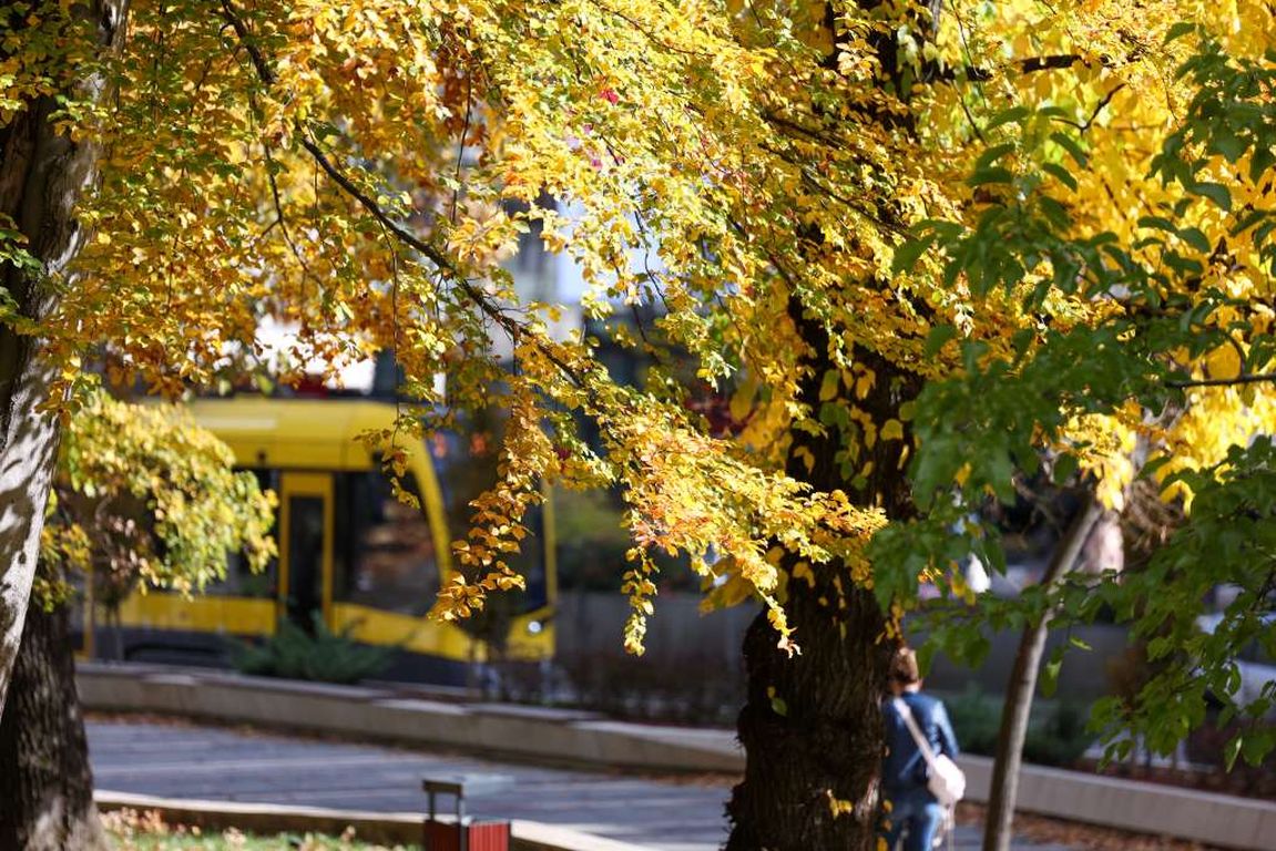 Sunčano širom BiH: Temperature do 19 stepeni