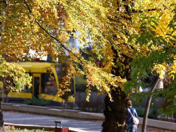 Sunčano širom BiH: Temperature do 19 stepeni